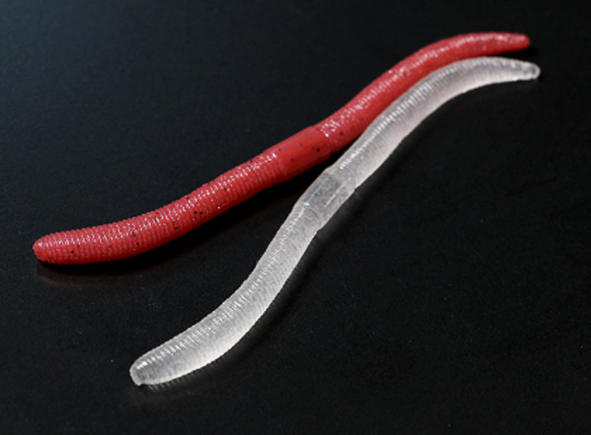 ワームのアップ写真