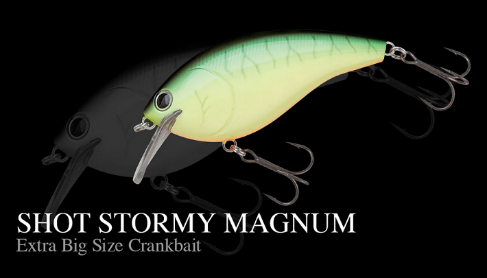 ルアーのアップ写真