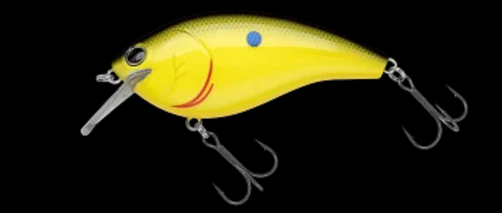 ルアーのアップ写真