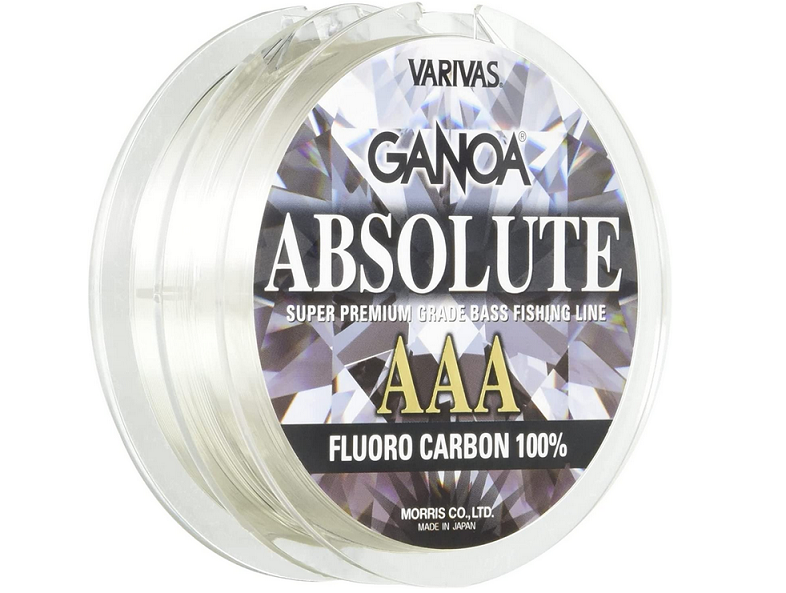 ラインのアップ写真