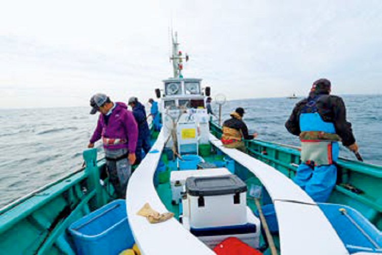 仲間や家族と沖釣りホリデー！貸し切り船ナビ（第5回）］手バネのシャクリ釣りでマダイを狙う！豊国丸～内房竹岡港～