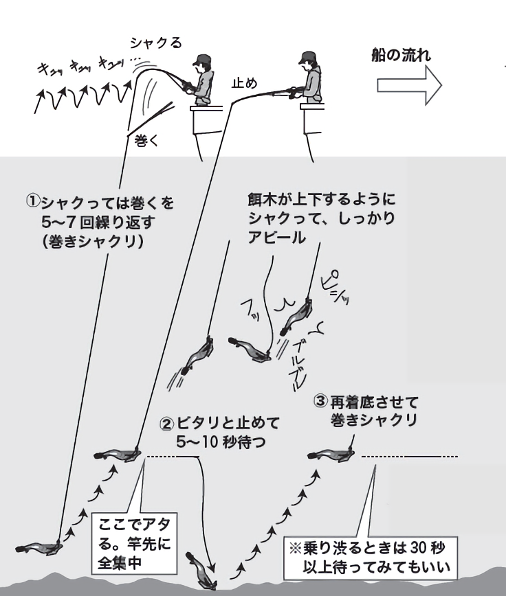 ティップランエギングの始め方～タックル・餌木・釣りのコツを伝授～