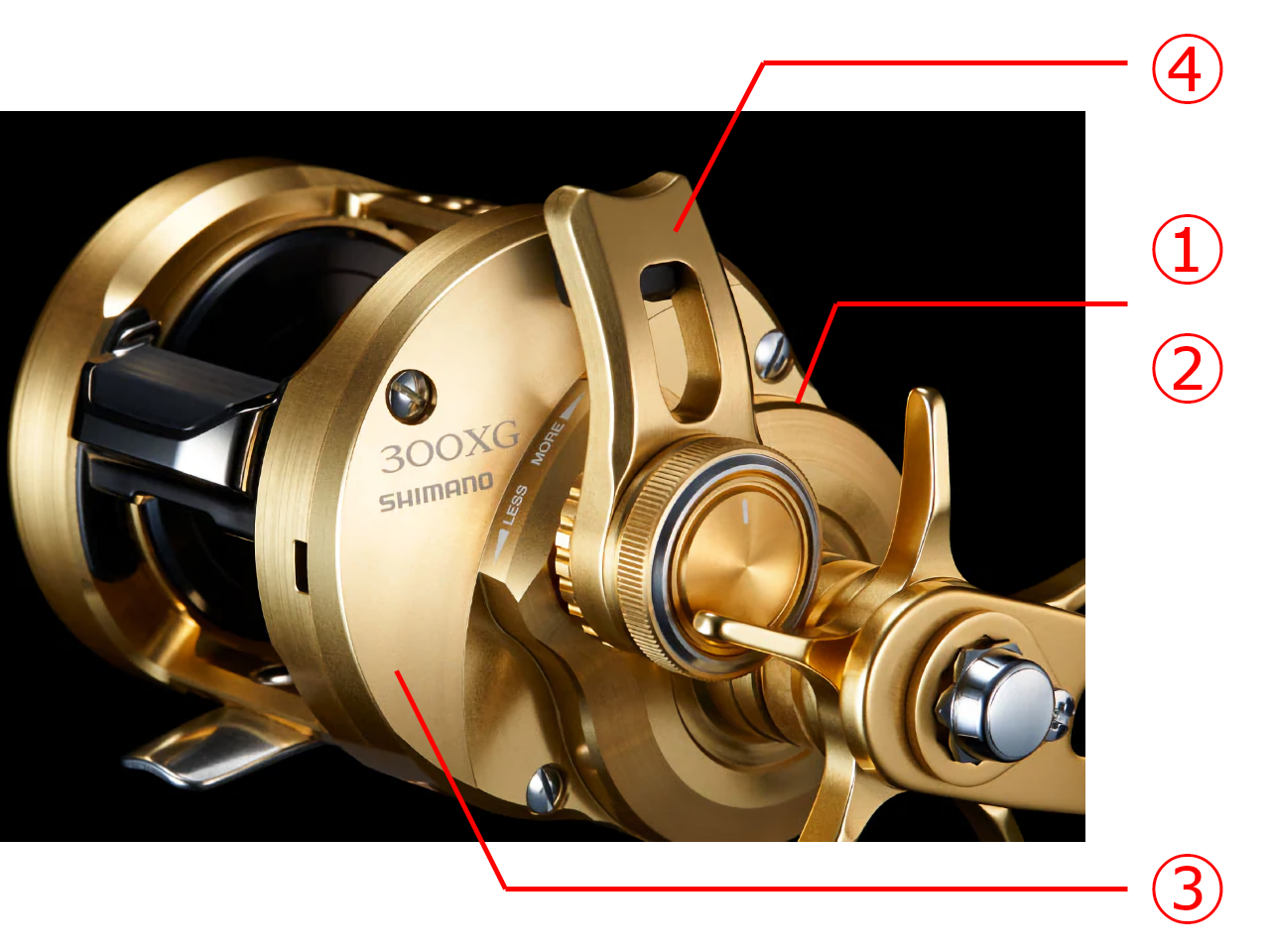 オシアコンクエストの写真