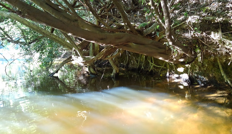 釣り場の遠景写真