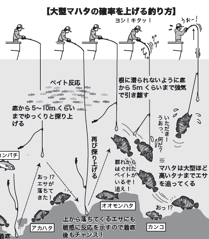 釣り方の図