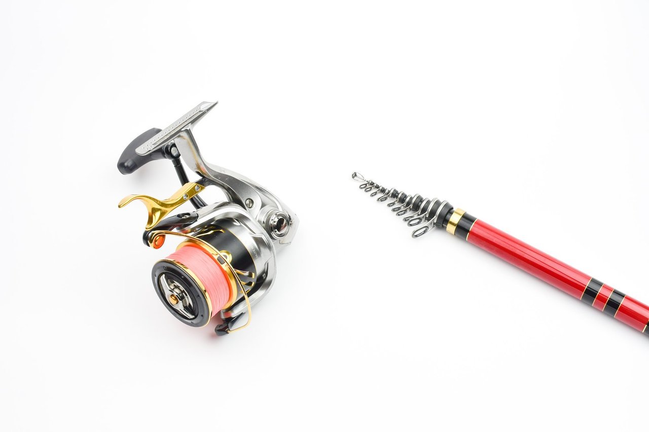 タックルの写真
