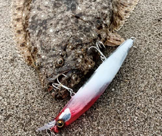 魚とルアーのアップ写真