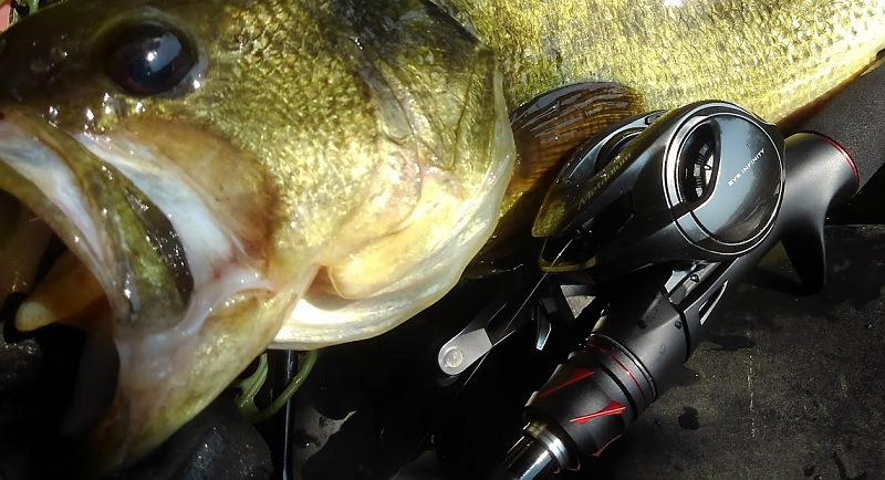 魚とリールのアップ写真