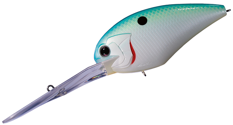 ルアーのアップ写真