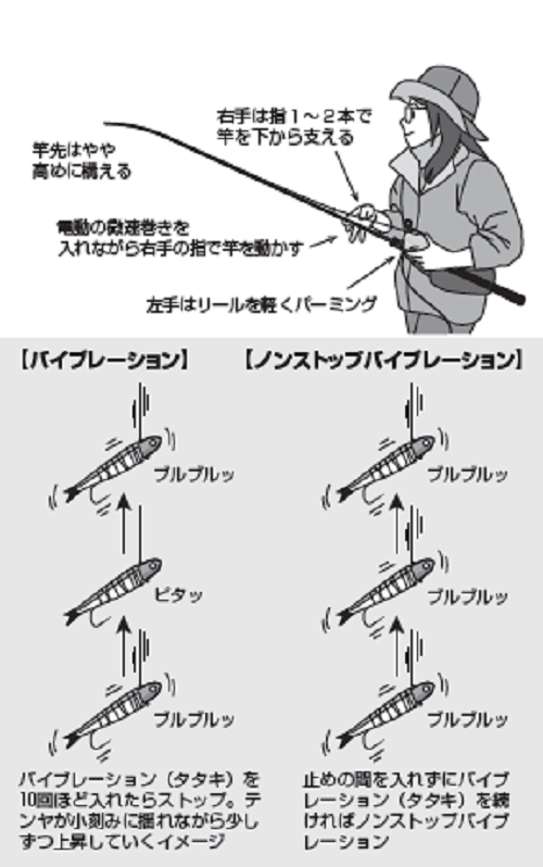 低価通販ヤフオク! - 船タチウオ釣りセット Solfiesta 龍撃太刀魚テン