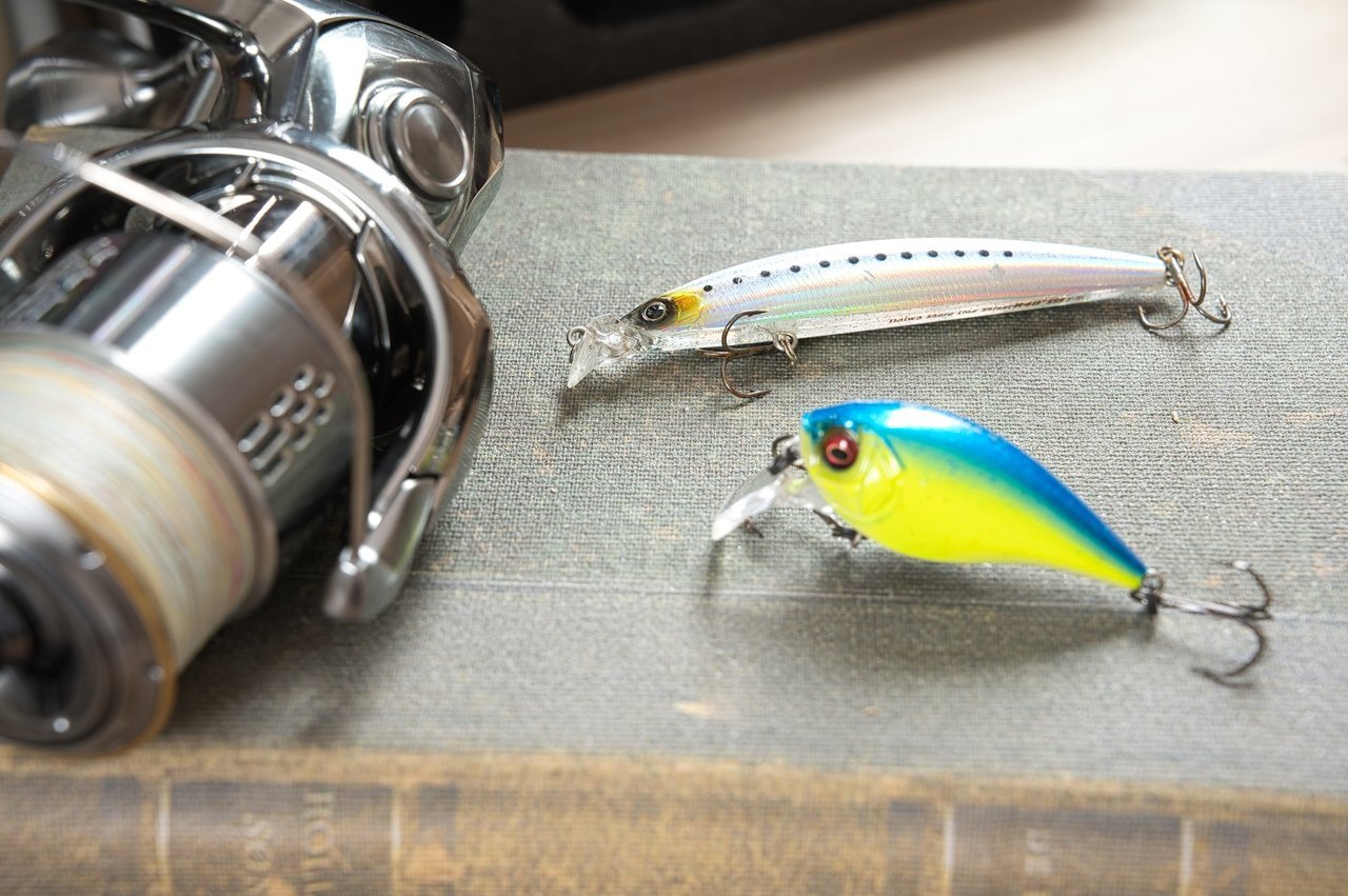 リールとルアーの写真