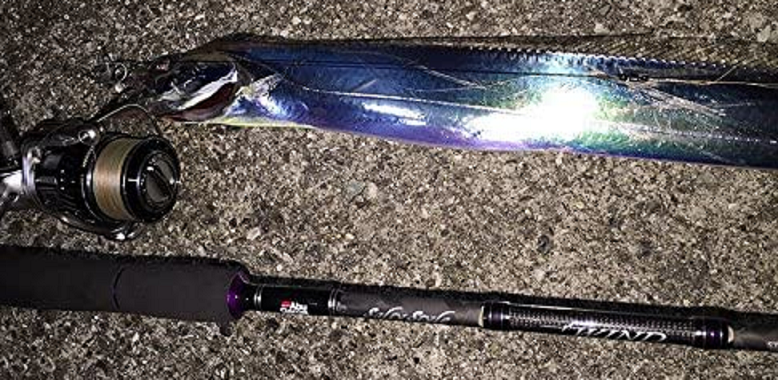 魚とロッドのアップ写真