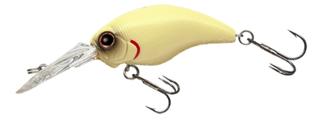 ルアーのアップ写真