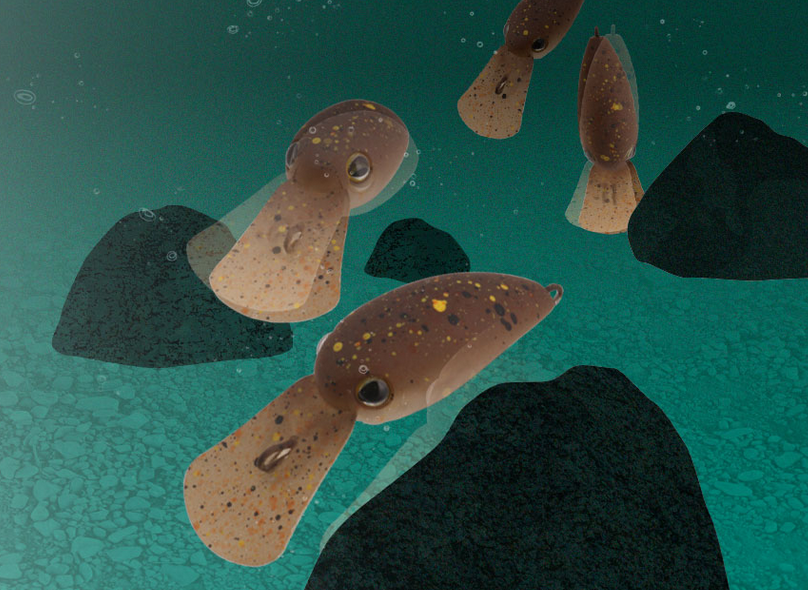 ルアーのアップ写真