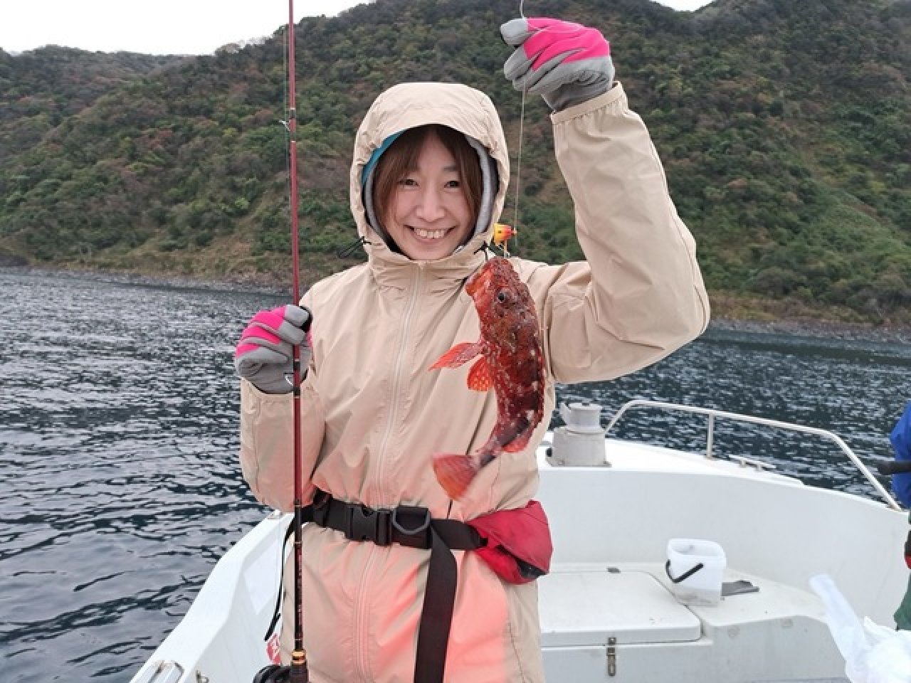 【釣果速報】アザラシ乱入の珍事態発生!船長の冷静な対応で高級魚アカハタなど大漁ゲット!静岡県プラネットマリンはどんな時も釣り客の笑顔満開!