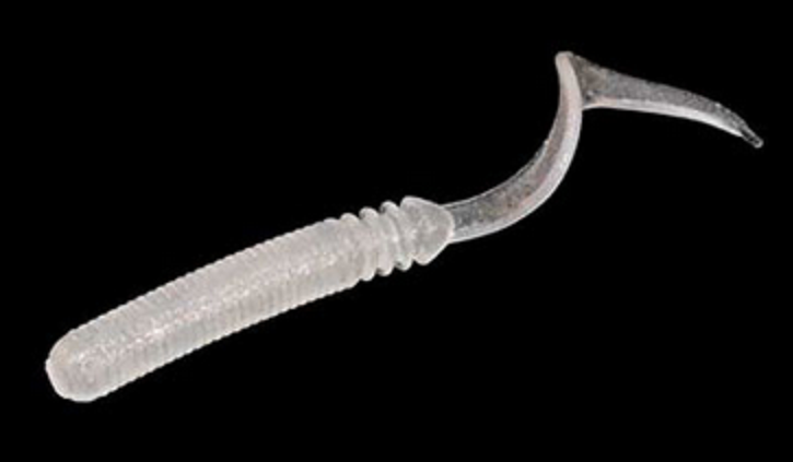 ワームのアップ写真