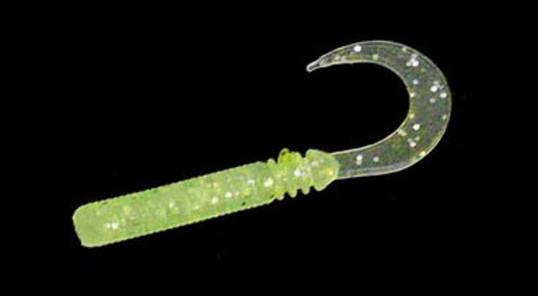 ワームのアップ写真