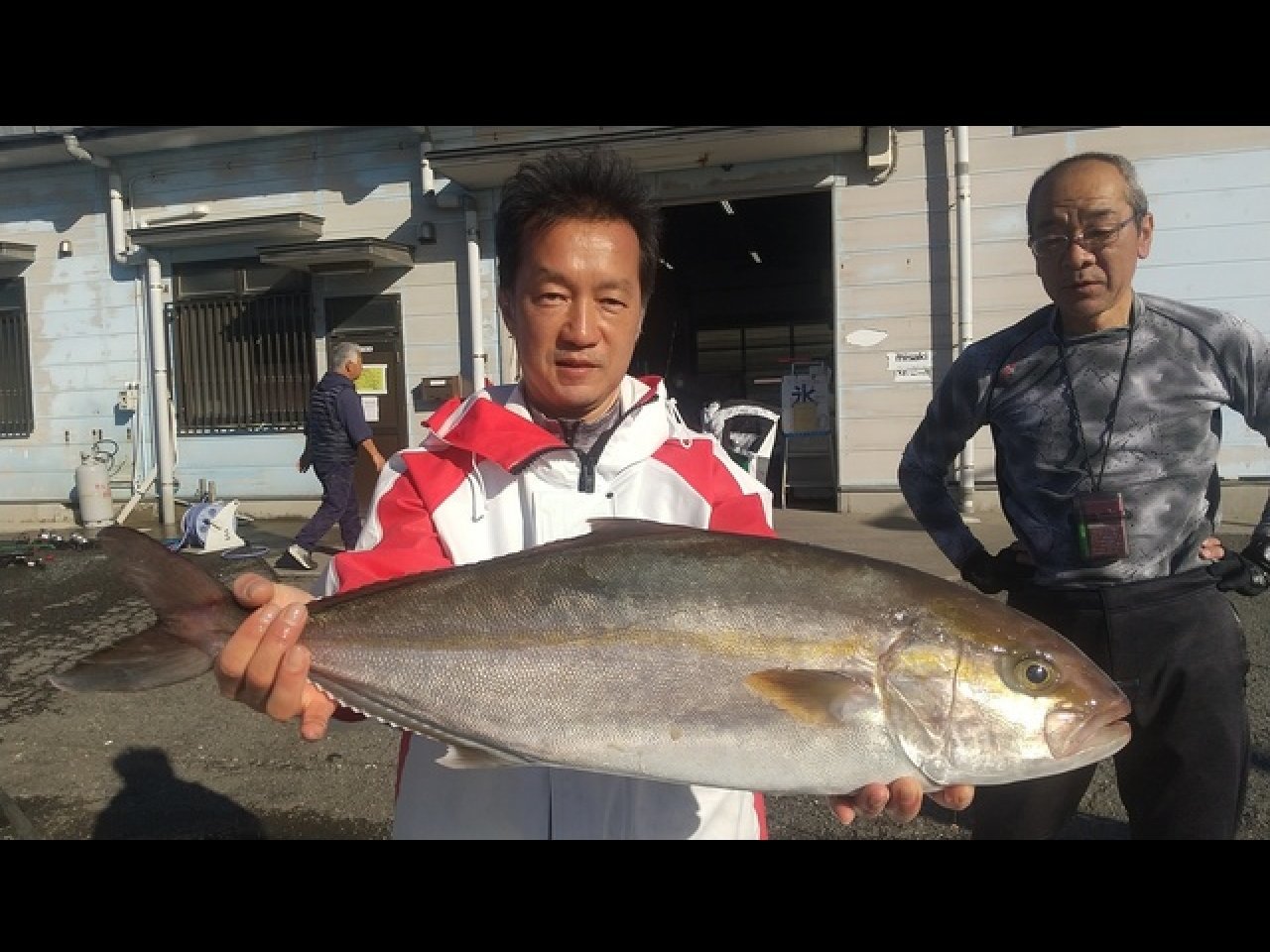 【釣果速報】神奈川県せどおと丸で4kg~5.5kgの良型ワラサ入れ食い!ゲストのカンパチも見事!旬のシーズンを絶対に逃すな!