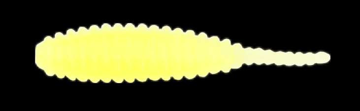 ワームのアップ写真