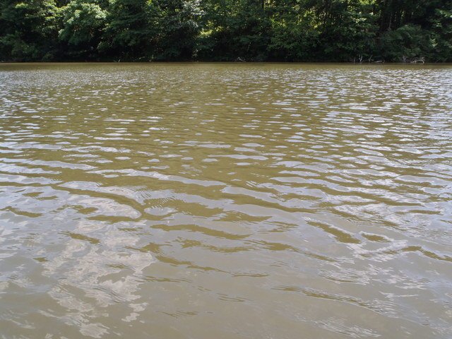 バス釣り　濁り　増水