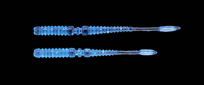 ワームのアップ写真