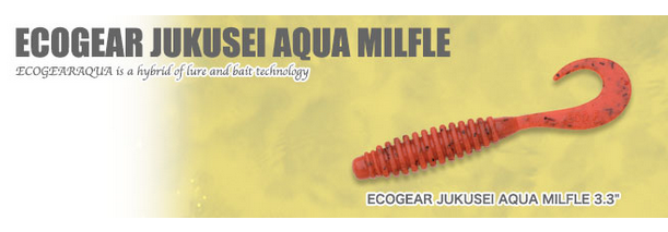 ワームのアップ写真