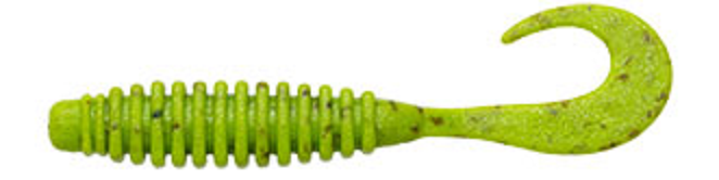 ワームのアップ写真