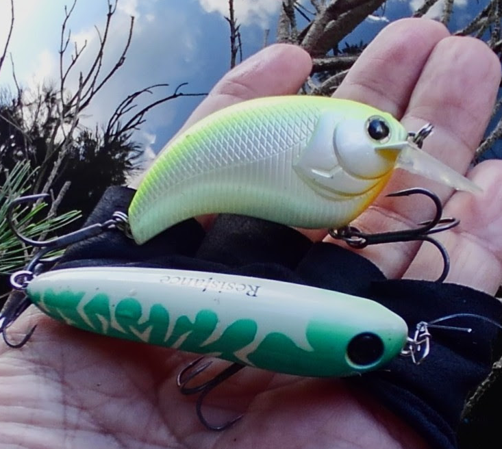 ルアーのアップ写真