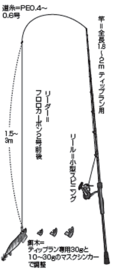 東伊豆のティップランエギング 早朝の時合に中型ラッシュ！！（二階屋