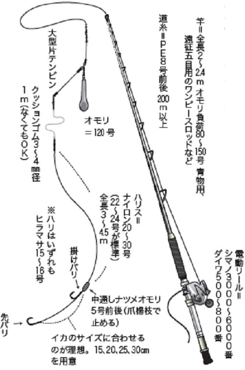 イカブリの基本を伝授 タックルからヤリイカエサの付け方 釣りのコツまで一挙ご紹介 秀正丸 静岡県宇佐美港