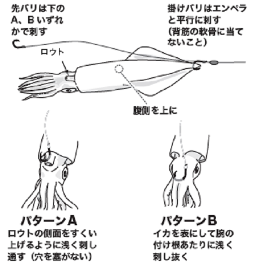 イカブリの基本を伝授 タックルからヤリイカエサの付け方 釣りのコツまで一挙ご紹介 秀正丸 静岡県宇佐美港