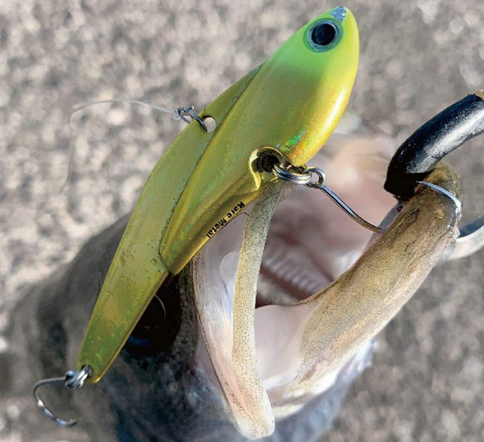 魚とルアーのアップ写真