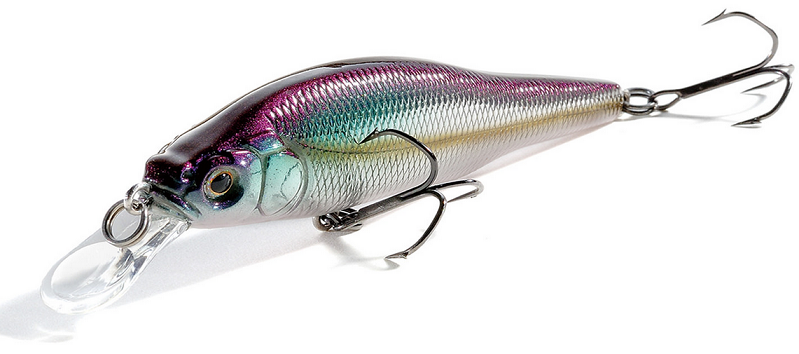 ルアーのアップ写真