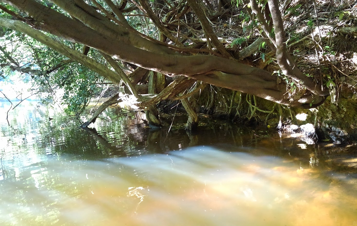 釣り場の遠景写真