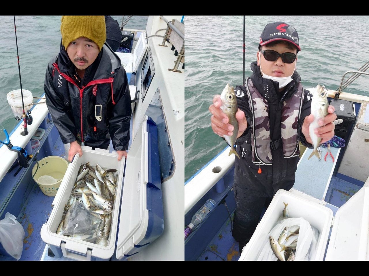 【釣果速報】竿頭380匹!!!東京都船宿まる八のアジ釣行でトリプル連チャン発生し釣果が大バズり!