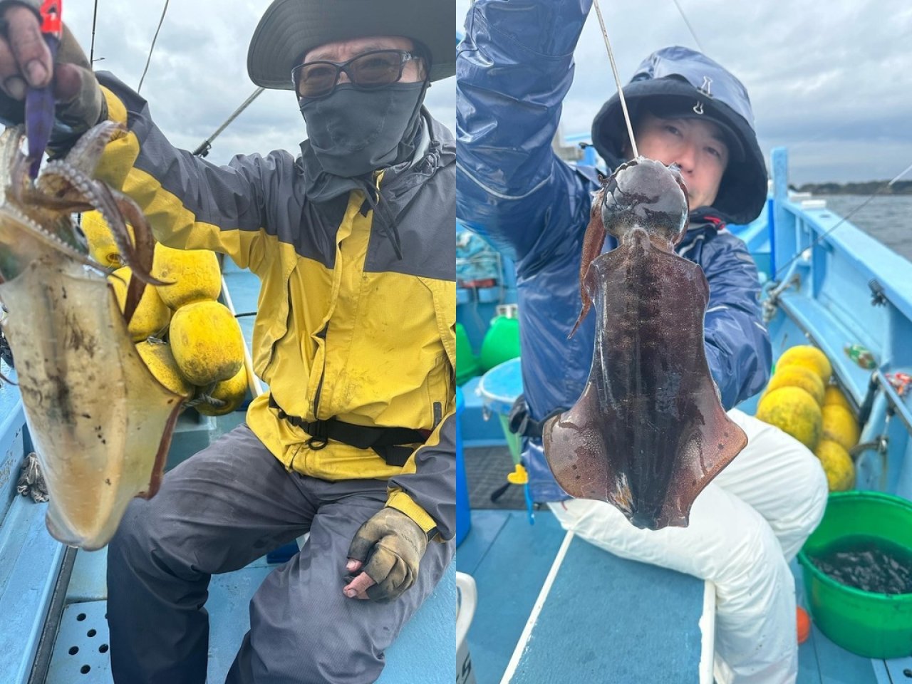 【釣果速報】神奈川県太郎八丸でアオリイカが一日当たりまくり！全釣り人の夢“高級イカの数釣り”を今年のうちに叶えよう！