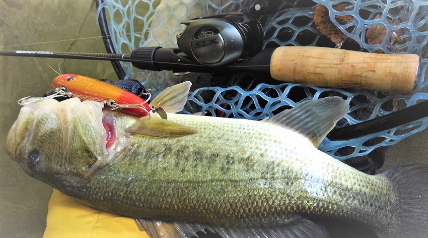 魚とロッドのアップ写真