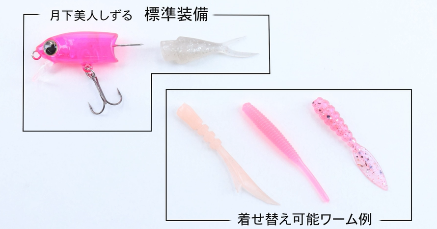 ルアーのアップ写真