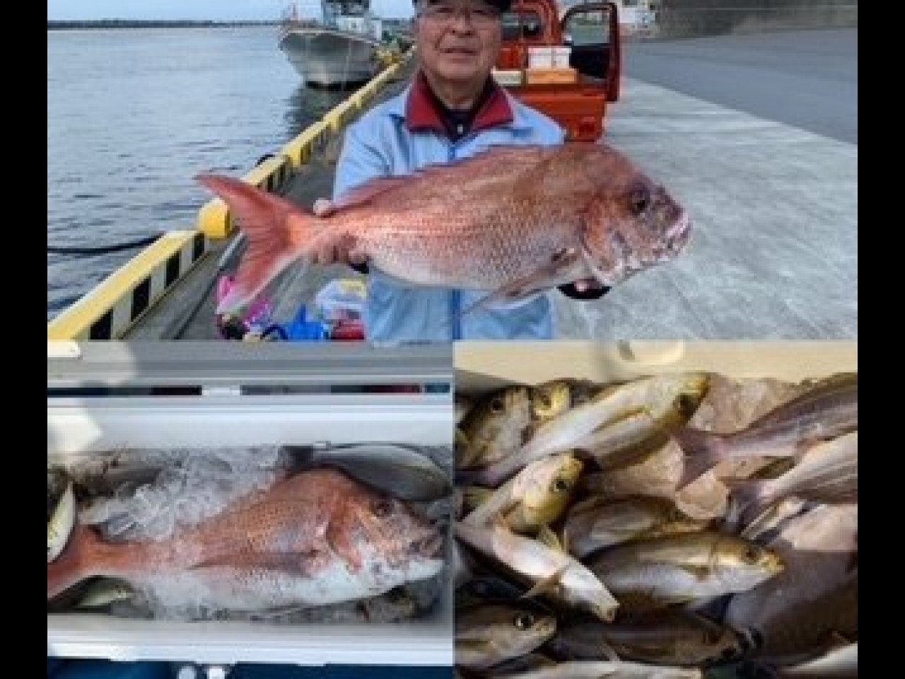 【釣果速報】静岡県権助丸で寒イサキ一人平均25匹の好釣果！スペシャルゲストはなんと4kgオーバーのマダイ！？