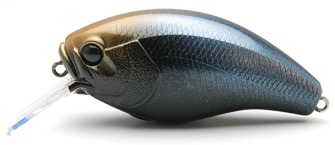 ルアーのアップ写真