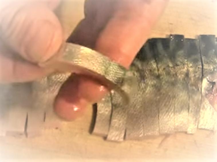 エサのアップ写真