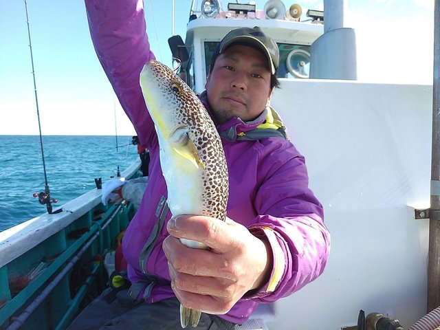 【釣果速報】千葉県利永丸で良型のショウサイフグ＆希少なアカメフグを確保！今年の冬は自分の手で絶品フグを手に入れよう！