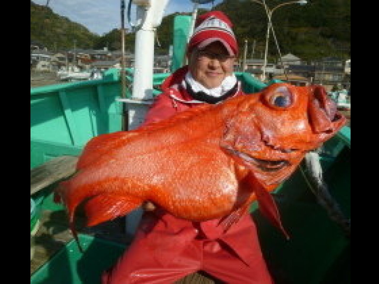 【釣果速報】千葉県美智丸で驚愕の6.0kgベニアコウ釣れる！究極の深海ターゲットを狙うなら今！