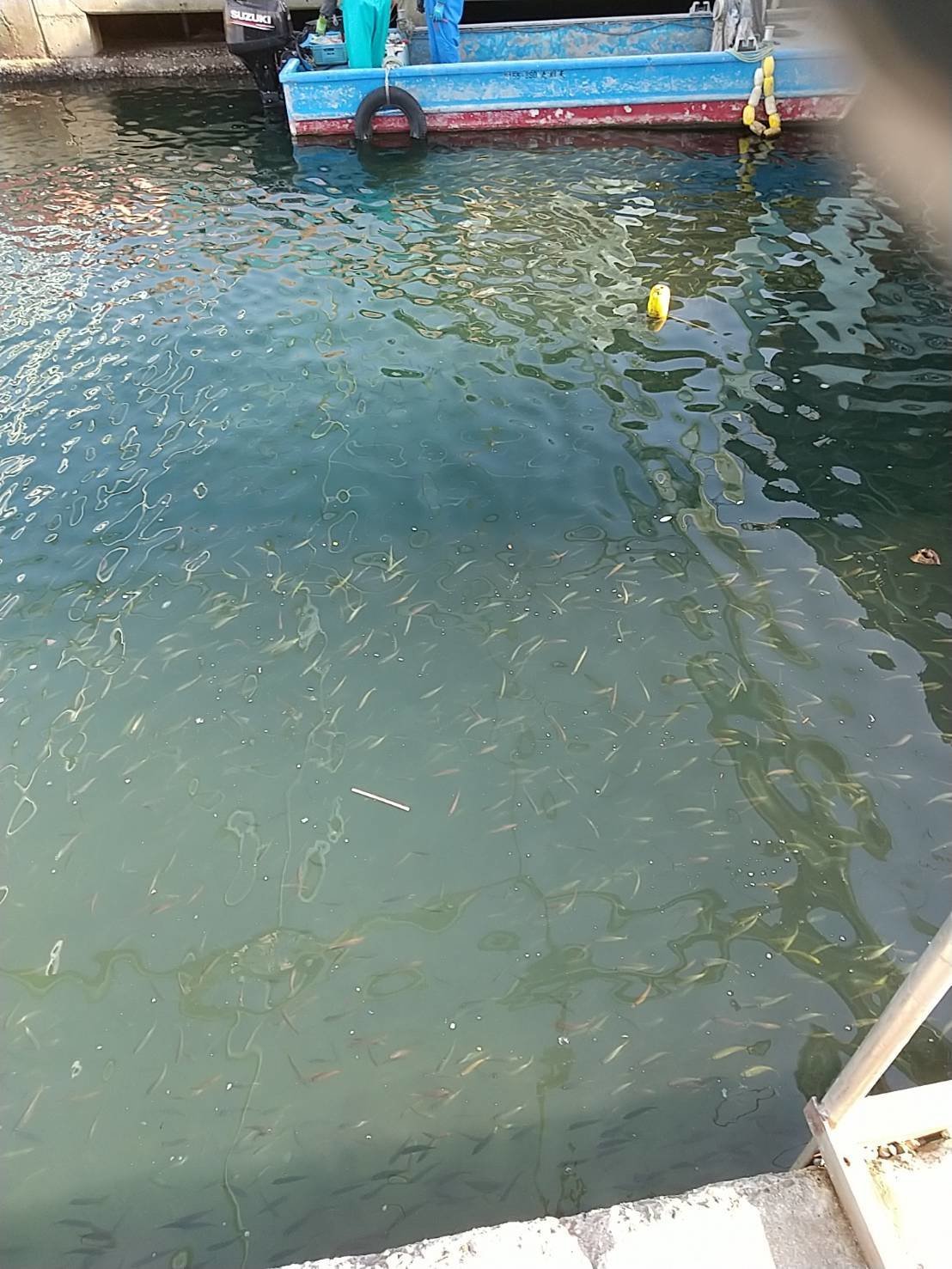 釣行の写真