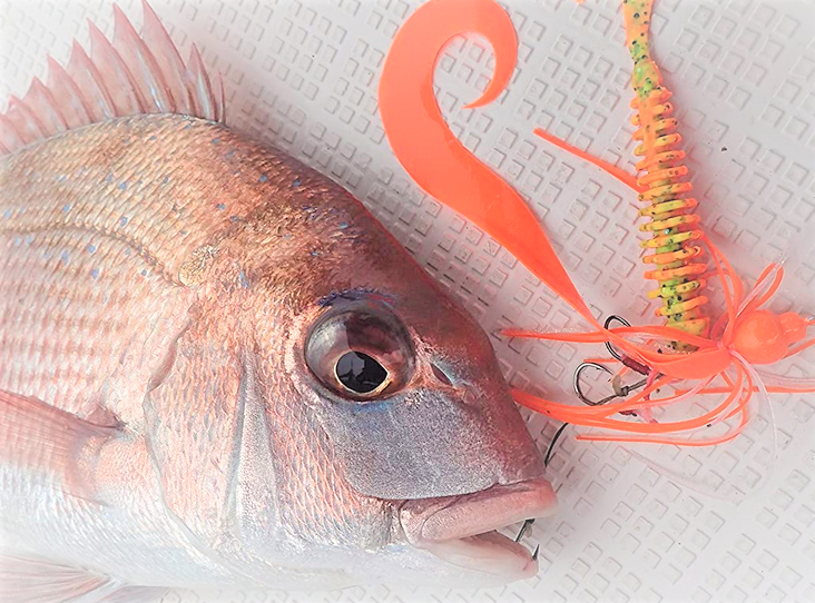 魚とルアーのアップ写真