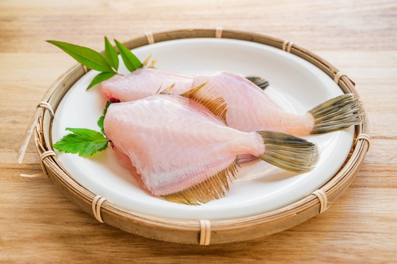 カワハギの写真