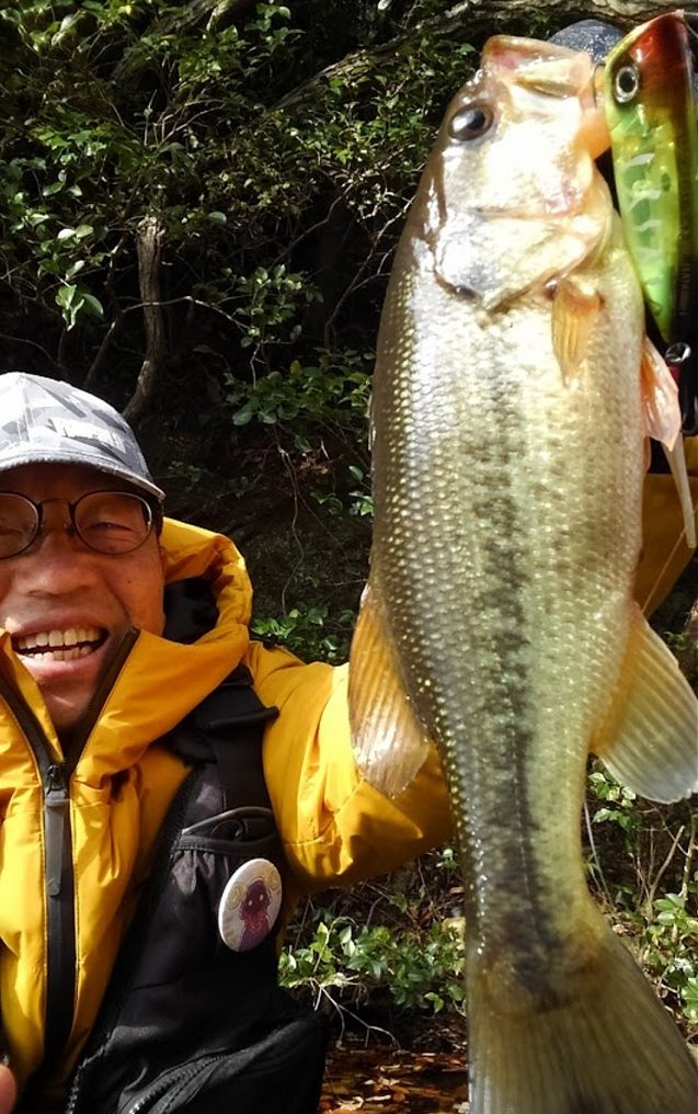 魚とルアーのアップ写真