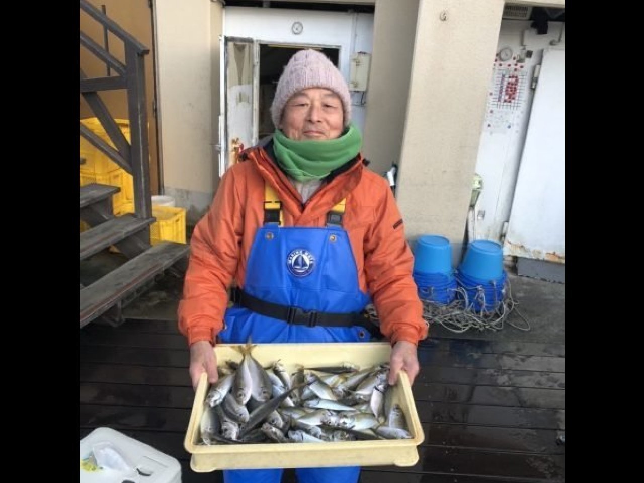 【釣果速報】神奈川県荒川屋のアジ船は一日コンスタントに釣れてずっと楽しい！数釣りならお任せ！