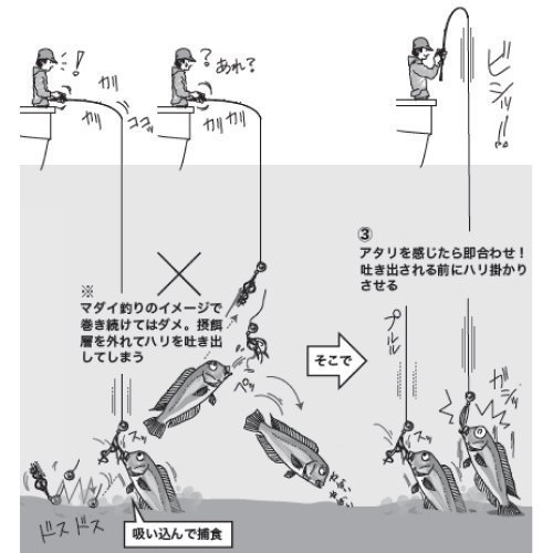 釣り方の図