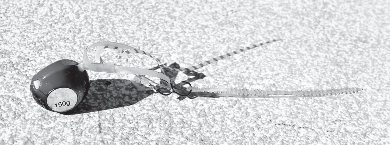 タイラバの写真